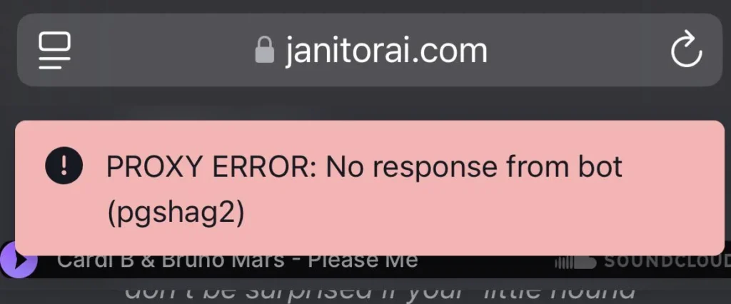 Janitor AI proxy error no response from bot pgshag2